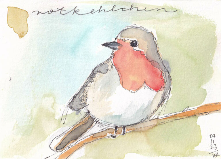 Rotkehlchen in Aquarell gezeichnet